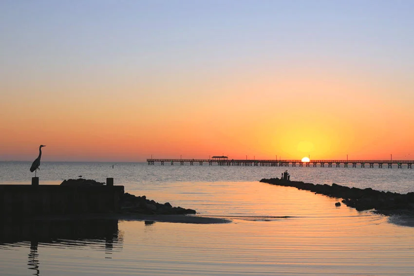 Silhouette of a Blue Heron perched on a fishing pier at sunrise in Fulton, Texas. The warm hues of the rising sun cast a golden glow over the calm waters, creating a serene and picturesque coastal scene.