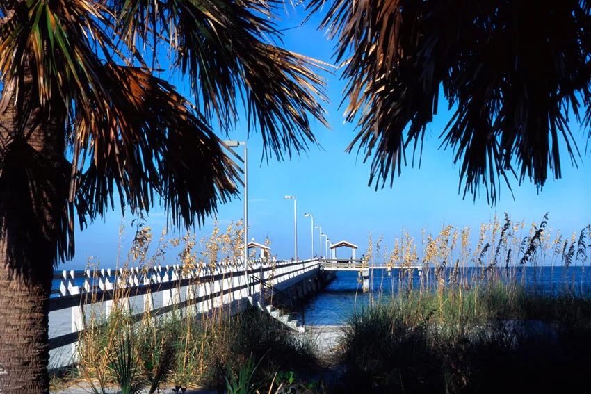 View of Cabbage Palms and the fishing pier at Fort DeSoto Park in St. Petersburg, Florida, with palm trees along the shore and the pier stretching over calm coastal waters.