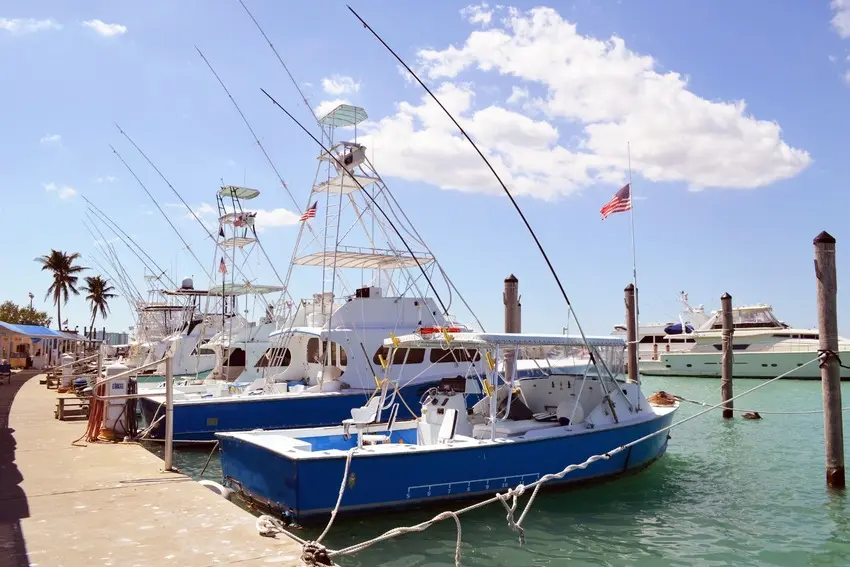 Fishing charter boats docked at a Florida marina with palm trees and an American flag in the background.
