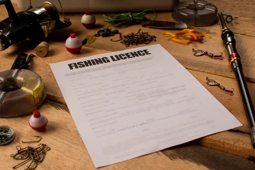 A printed fishing license rests on a wooden table, surrounded by assorted fishing gear arranged around the document.