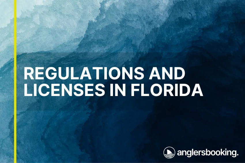 An illustration of ocean waves in intricate shades of blue with a yellow line on the left side of the visual, the heading Regulations and Licenses in Florida, and the Anglers Booking logo at the bottom right.