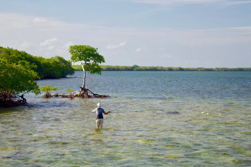 Back view of an angler performing a fly fishing technique in the clear waters of Islamorada.