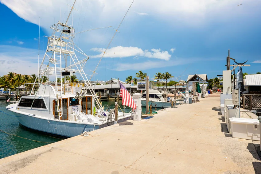 Charter boats lined up at a marina in Key West, Florida, with calm water, dock access, and a clear view of a popular saltwater fishing departure area.
