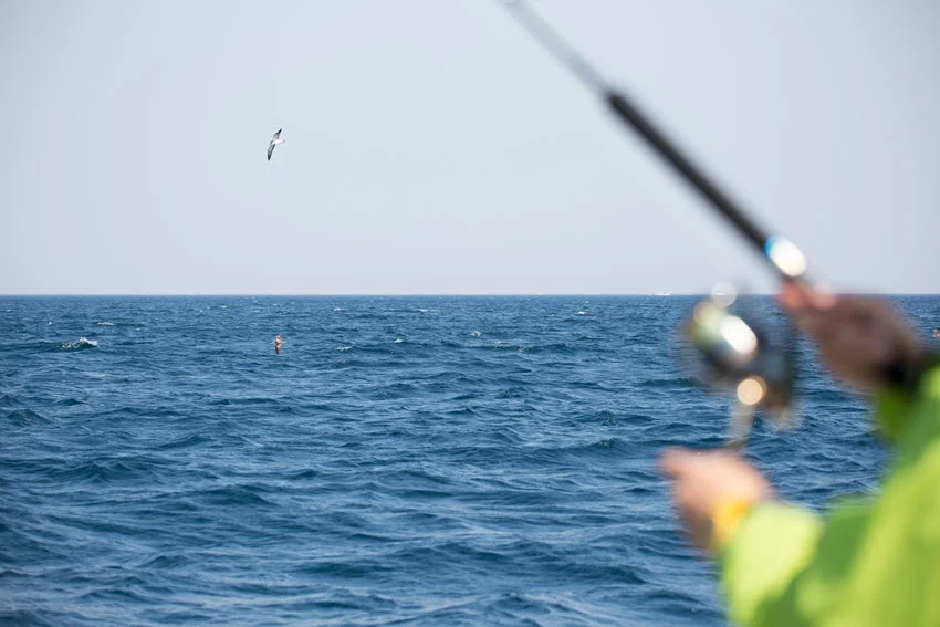An angler is jigging on a charter boat, attentively watching the water as they try to catch fish.