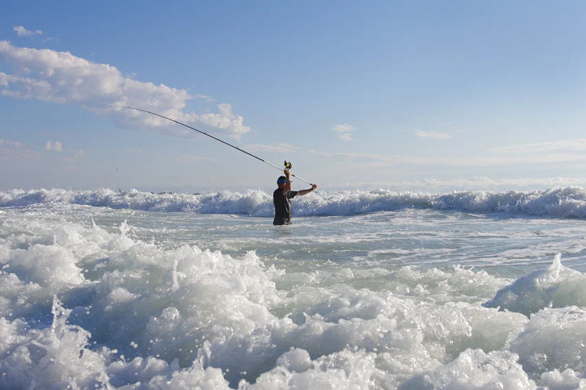 A surf angler in the waves of the Atlantic Ocean applies a surf fishing technique.