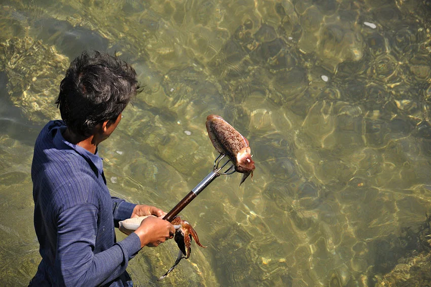 A back view of an angler holding a fish speared with a trident above the water.