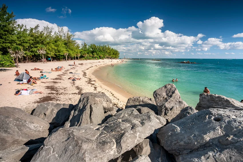 Exotic Key West, Florida beach with tropical trees in the background and natural rocks in the foreground, creating a serene and vibrant coastal scene.
