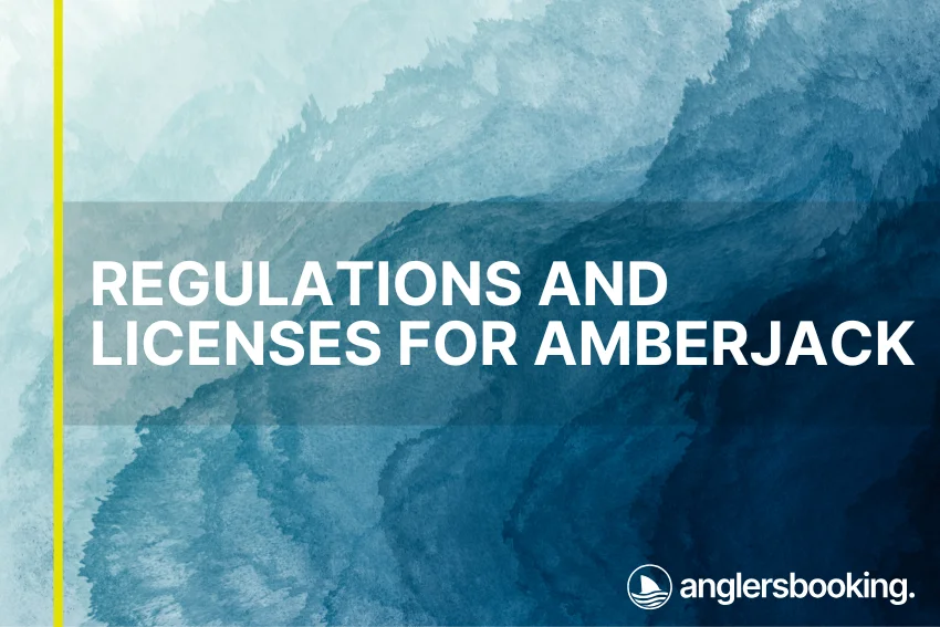 An illustration of ocean waves in intricate shades of blue, with a yellow line on the left side of the visual, the heading Regulations and Licenses for Amberjack, and the Anglers Booking logo at the bottom right.