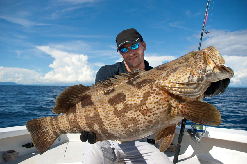 View of an lucky angler proudly holding a large Grouper, showcasing the impressive catch of the day with a big smile, captured on a fishing trip.