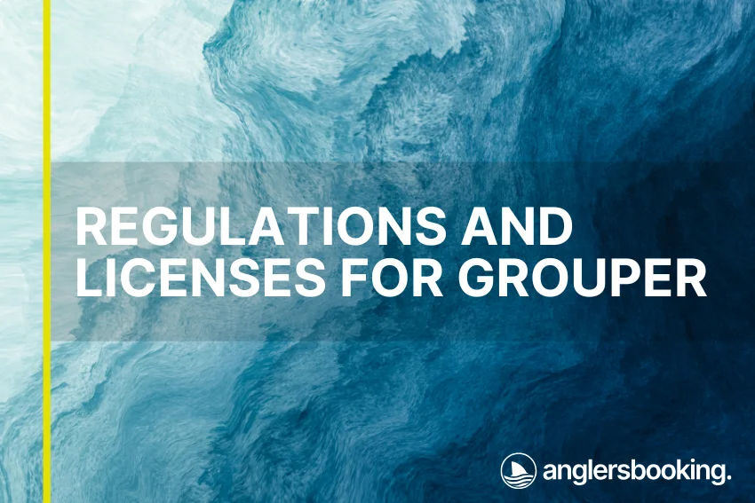 An illustration of ocean waves in intricate shades of blue, with a yellow line on the left side of the visual, the heading Regulations and Licenses for Grouper, and the Anglers Booking logo at the bottom right.