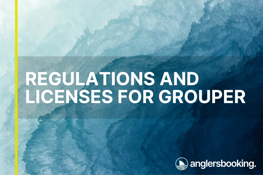 An illustration of ocean waves in intricate shades of blue, with a yellow line on the left side of the visual, the heading Regulations and Licenses for Grouper, and the Anglers Booking logo at the bottom right.