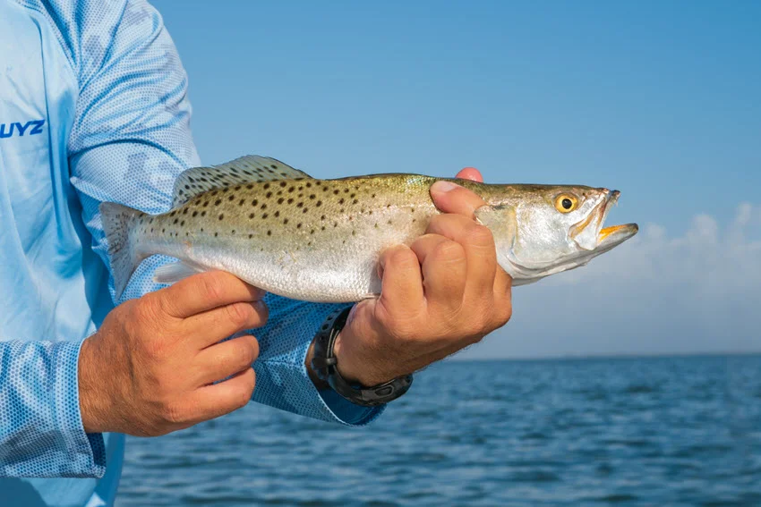 Close view of a Speckled Trout freshly caught in an angler's hand, showing its spotted body and shimmering scales.