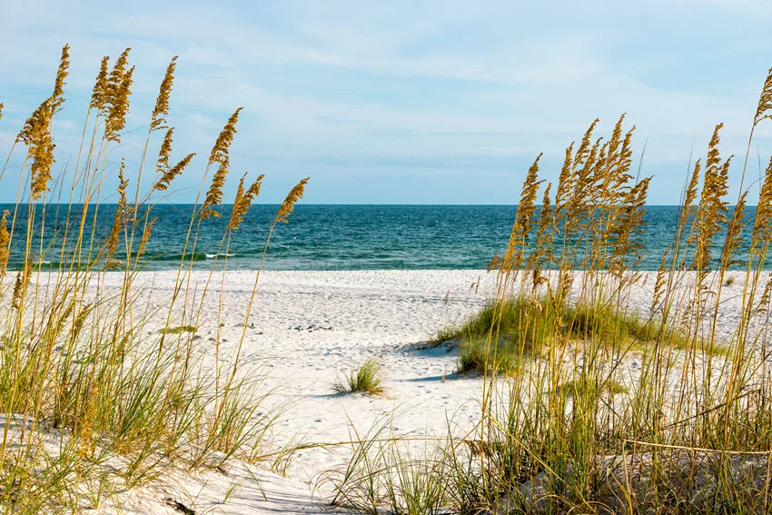 Shoreline view of Little Lagoon with calm waters gently meeting the sandy beach.