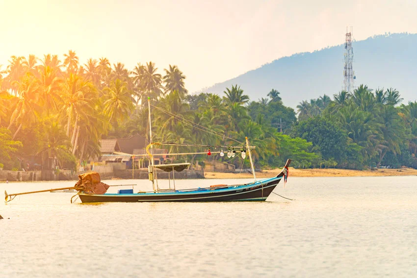 Fishing boat anchored near a palm-lined tropical shore at sunset, with a wooded hillside and warm light spreading across the water.