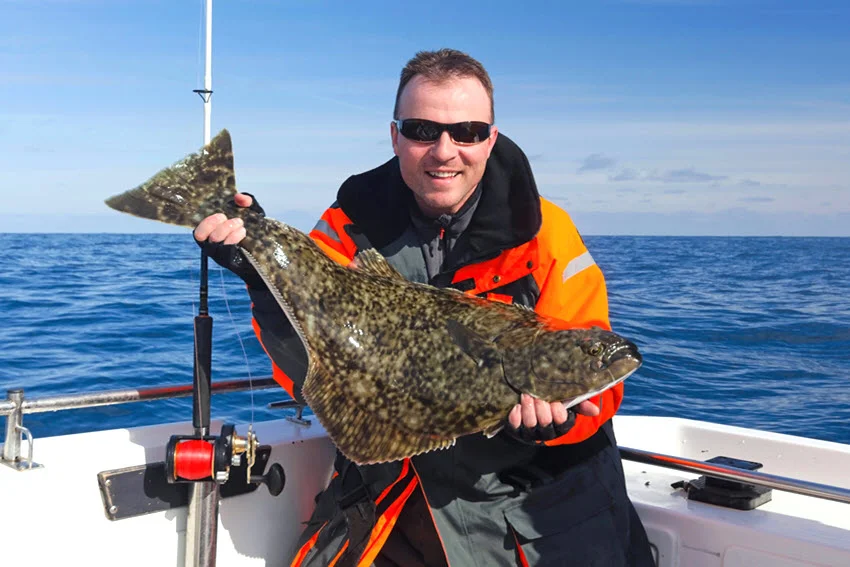 Halibut Fishing: The Angler's Guide