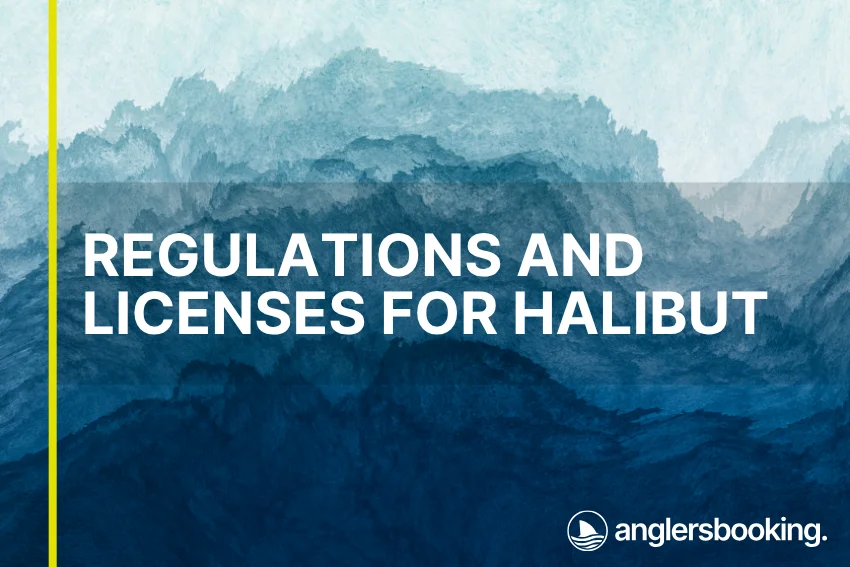 An illustration of ocean waves in intricate shades of blue, with a yellow line on the left side of the visual, the heading Regulations and Licenses for Halibut, and the Anglers Booking logo at the bottom right.