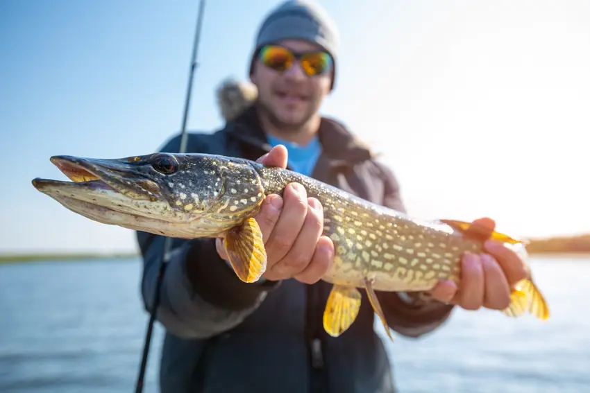 A young angler holds a Northern Pike horizontally from a boat, with calm water and a blurred shoreline in the background.
