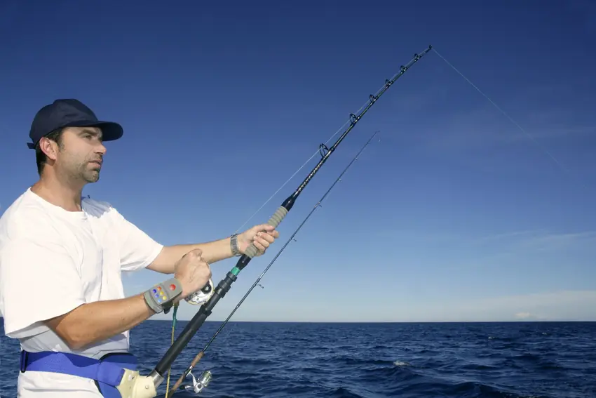 Hardest Fish to Catch: Freshwater vs. Saltwater.