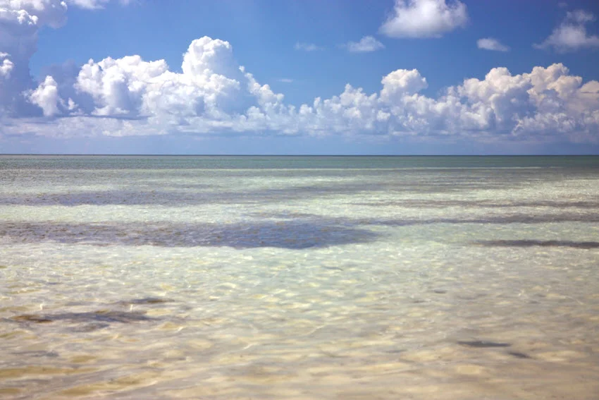 A distant view of ocean flats under a clear sky with white clouds.