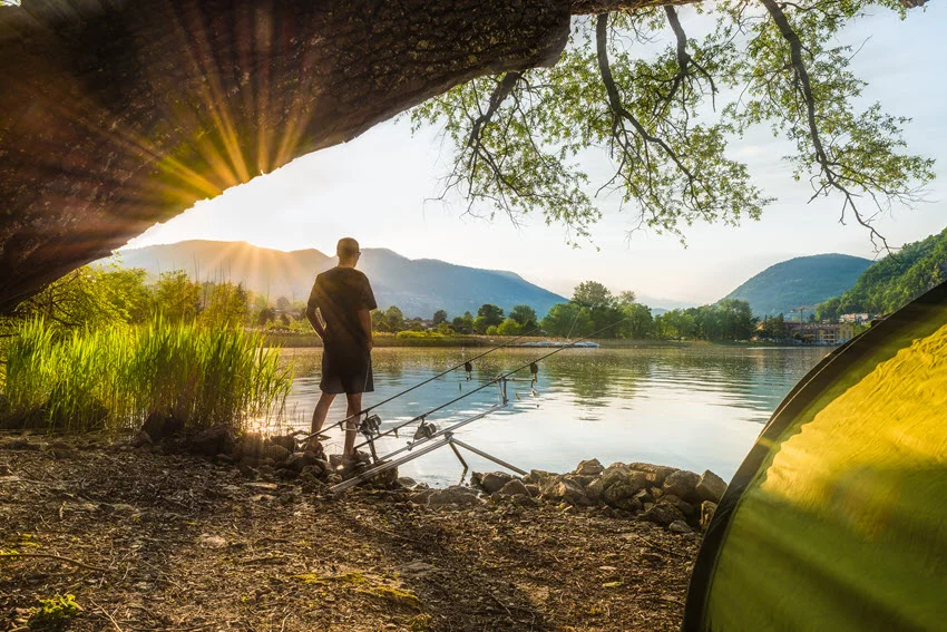 Back view of an angler standing on a lake shore with several rods set up on holders, with a sunset glowing in the distance and a mountain range on the horizon.