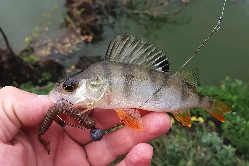 Close shot of an angler holding an artificial bait in their hands.