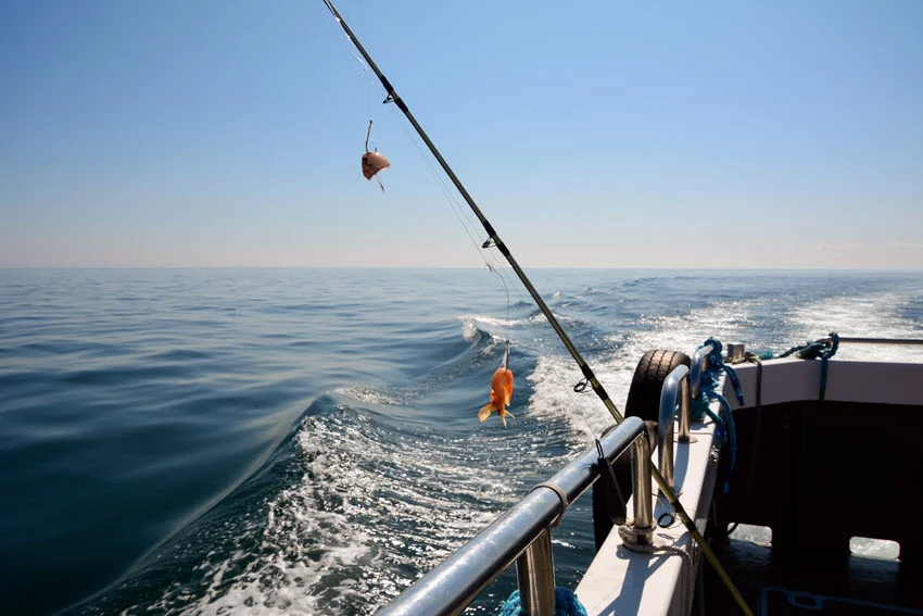Fishing rods used for kite fishing attached to a moving boat.