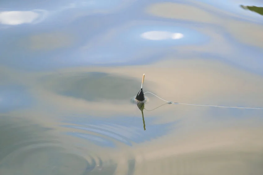 Close shot of a small plastic bait floating on the water’s surface, gently bobbing with the ripples.