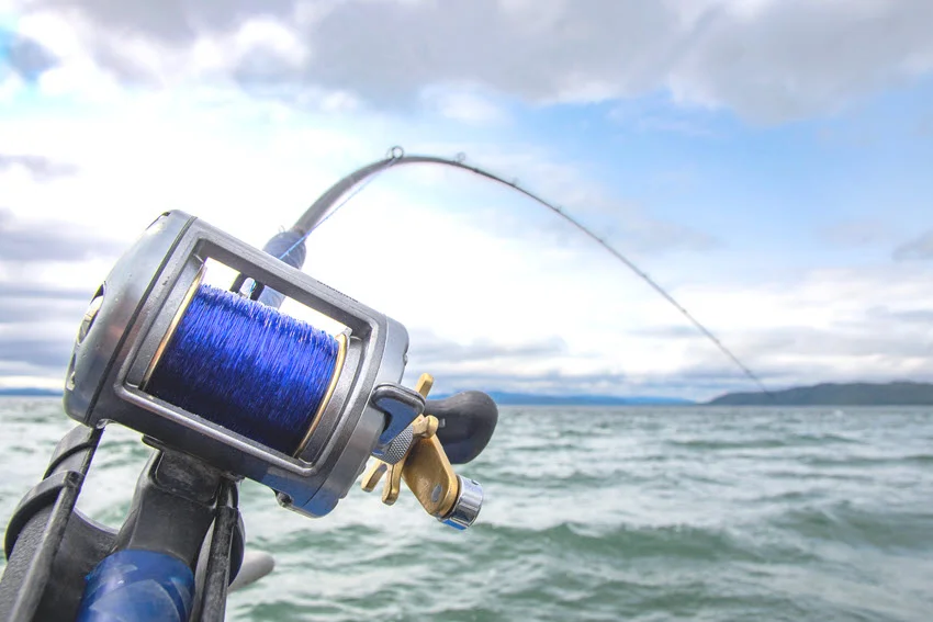 Close shot of trolling rod attached to a moving fishing boat, bending under the strain as something pulls on the line.