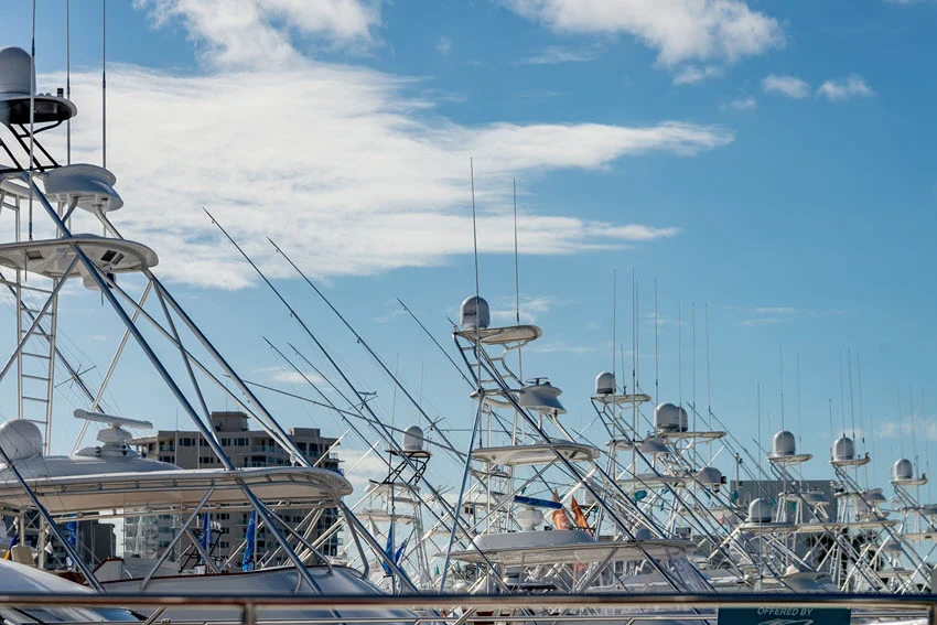 Sportfishing boats lined up in a Florida marina, a common departure point for Mackerel trips during the best spring and fall fishing months.