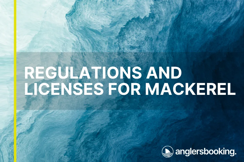 An illustration of ocean waves in intricate shades of blue, with a yellow line on the left side of the visual, the heading Regulations and Licenses for Mackerel, and the Anglers Booking logo at the bottom right.
