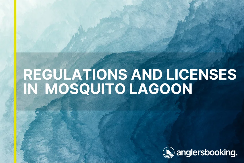 An illustration of ocean waves in intricate shades of blue with a yellow line on the left side of the visual, the heading Regulations and Licenses in Mosquito Lagoon, and the Anglers Booking logo at the bottom right.