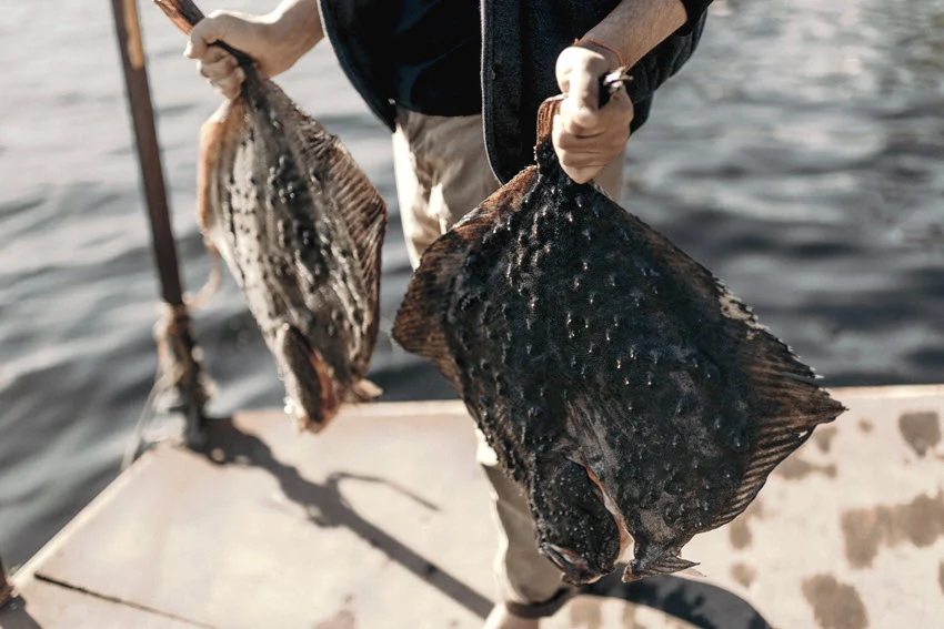 Angler holding two freshly caught Flounder on a dock with water in the background.