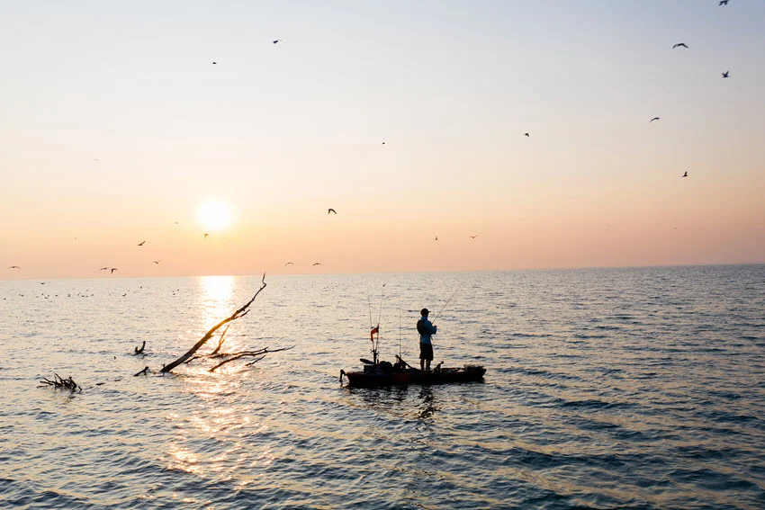 Angler kayak fishing at sunrise with calm waters and seabirds flying overhead.