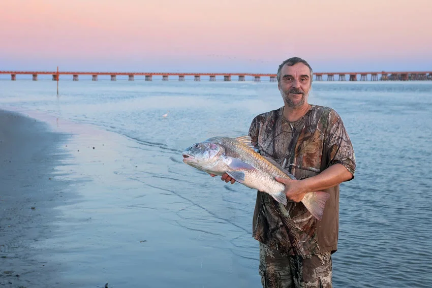 Angler standing on the shoreline holding a large Black Drum with the water and pier in the background.