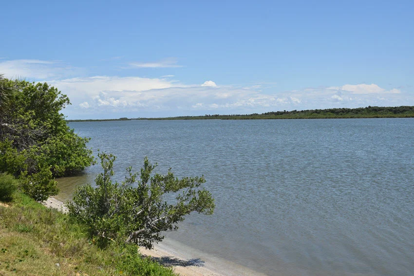 Scenic view of Mosquito Lagoon Aquatic Preserve with calm waters, shoreline greenery, and clear skies.
