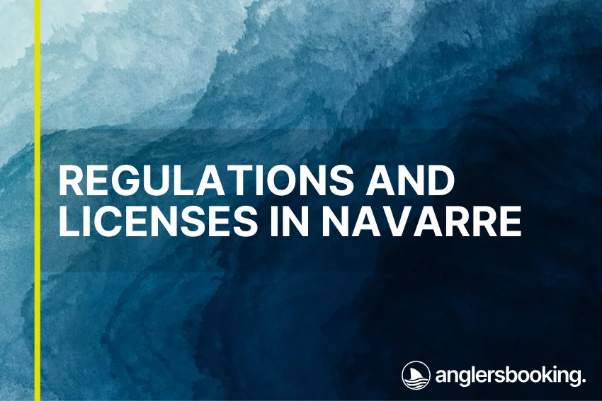 An illustration of ocean waves in intricate shades of blue with a yellow line on the left side of the visual, the heading Regulations and Licenses in Navarre, and the Anglers Booking logo at the bottom right.