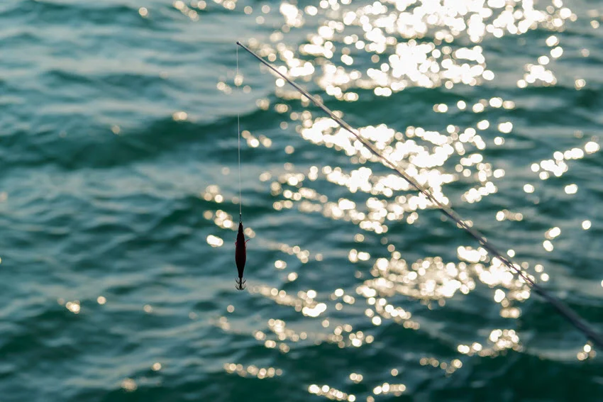 View of a squid jig hanging on a hook against the sparkling sea water.