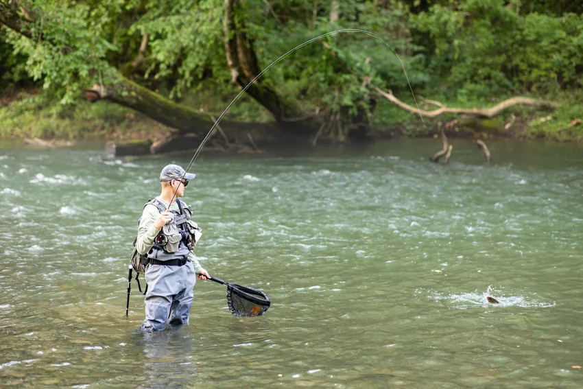 Standing in flowing river water, an angler holds a fly rod and landing net as a fish splashes near the surface.