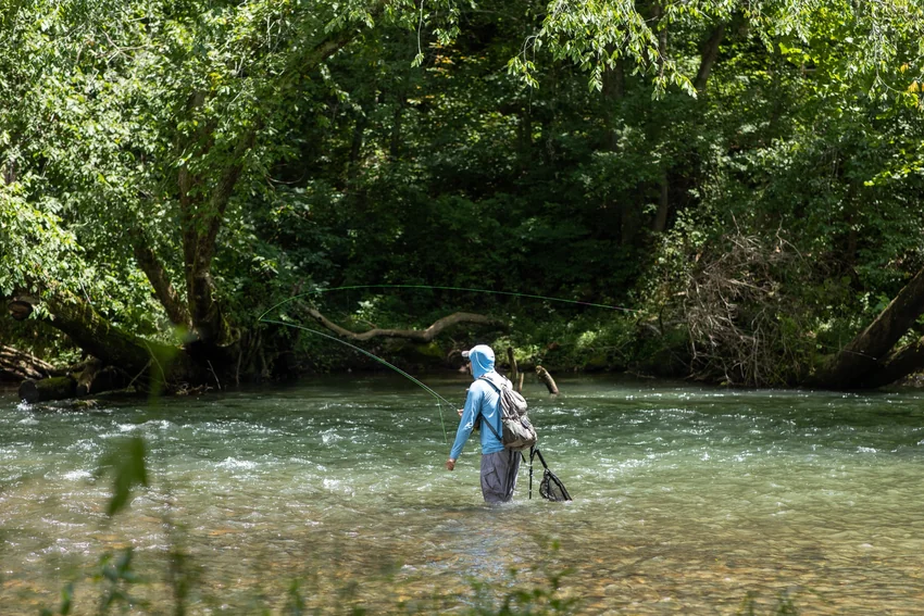 An angler wearing a blue shirt and backpack wades through a river beside a wooded bank, carrying a rod and landing net.