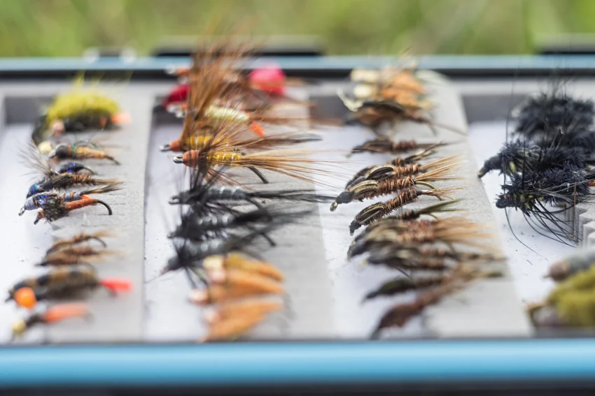 Rows of artificial fishing flies sit in an open fly box, showing varied feather shapes, body colors, and sizes against a blurred background.