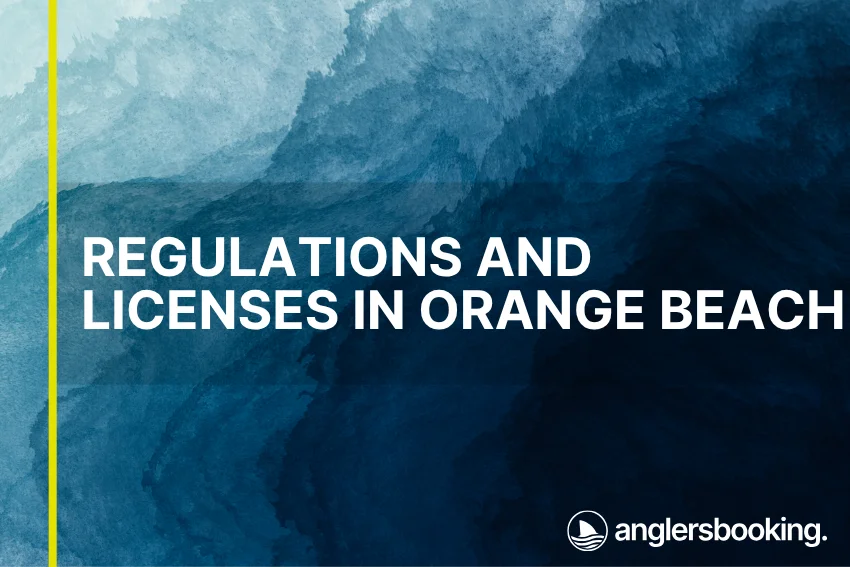 An illustration of ocean waves in intricate shades of blue with a yellow line on the left side of the visual, the heading Regulations and Licenses in Orange Beach, and the Anglers Booking logo at the bottom right.
