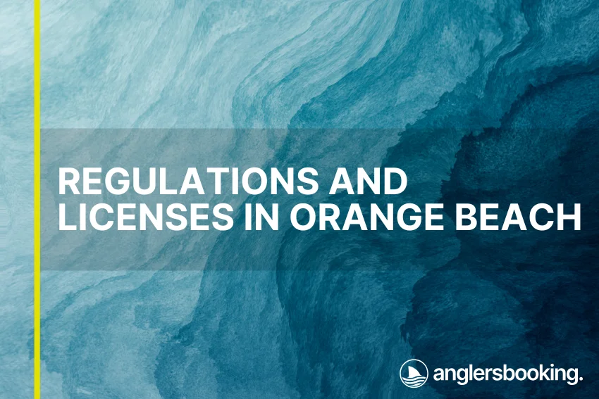 An illustration of ocean waves in intricate shades of blue with a yellow line on the left side of the visual, the heading Regulations and Licenses in Orange Beach, and the Anglers Booking logo at the bottom right.