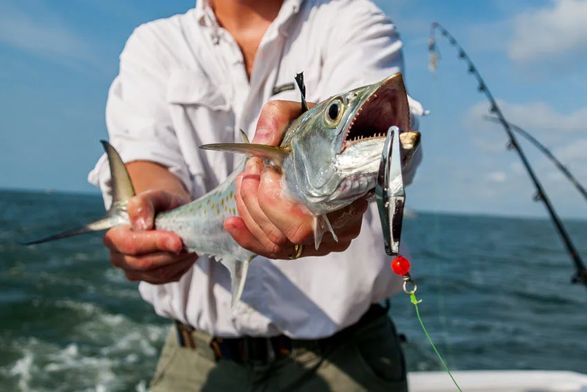 An angler holds a Spanish Mackerel out of the ocean on the boat, with fishing rods visible in the background.
