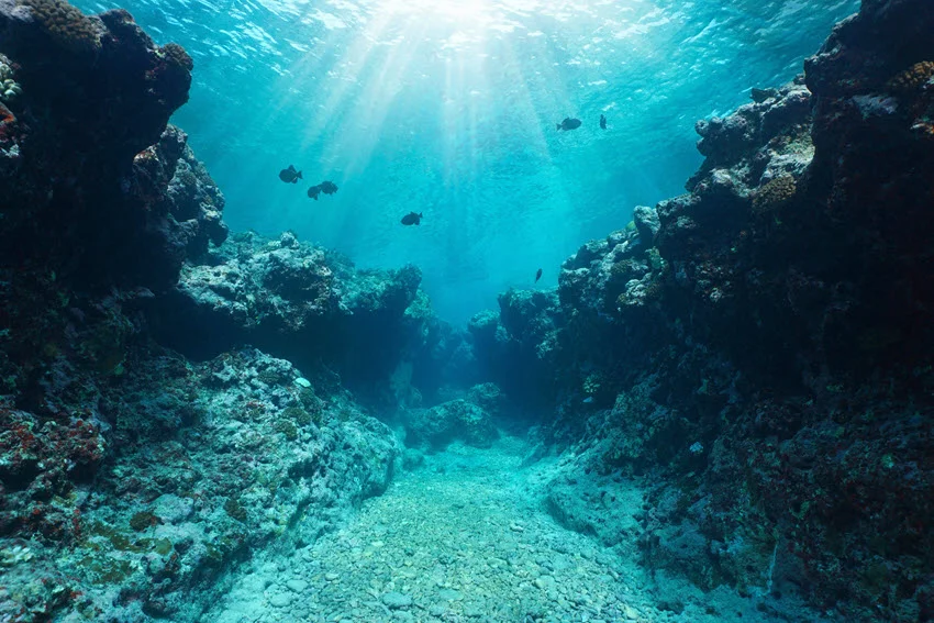 Underwater view of the ocean bottom with a school of fish and reefs all around while sun rays pass through the water.