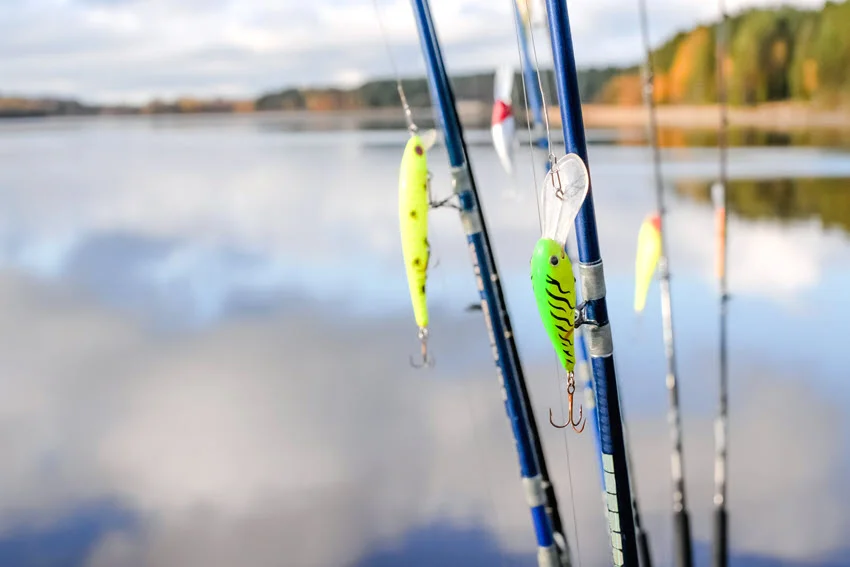 Focused shot of colorful crankbaits hanging from fishing rods beside a calm lake, illustrating tackle options for Peacock Bass fishing.