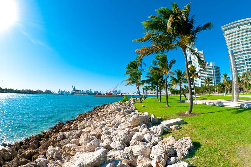 Sunny view of Miami's waterfront, palm trees, and rocky shoreline in the South Florida region known for Peacock Bass fishing.