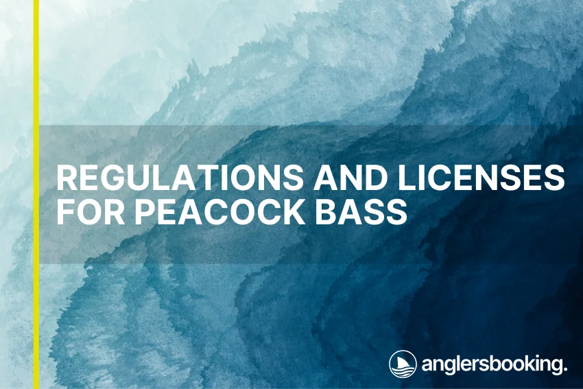An illustration of ocean waves in intricate shades of blue, with a yellow line on the left side of the visual, the heading Regulations and Licenses for Peacock Bass, and the Anglers Booking logo at the bottom right.