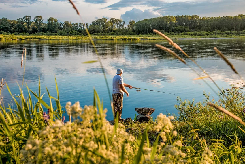 Angler casting from a grassy riverbank, illustrating an accessible shore-based approach to Peacock Bass fishing in calm freshwater.