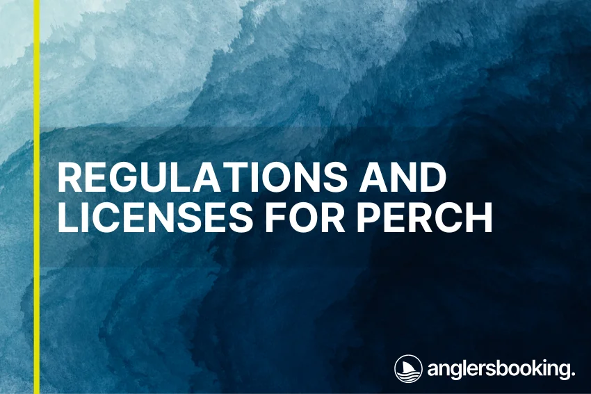 An illustration of ocean waves in intricate shades of blue, with a yellow line on the left side of the visual, the heading Regulations and Licenses for Perch, and the Anglers Booking logo at the bottom right.