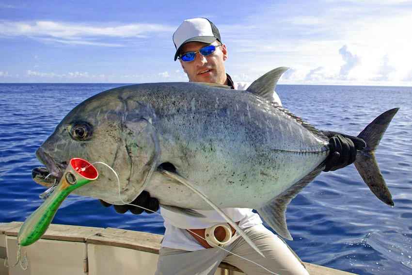 An angler sits on a boat holding a large Jack Crevalle on a sunny day out at sea.